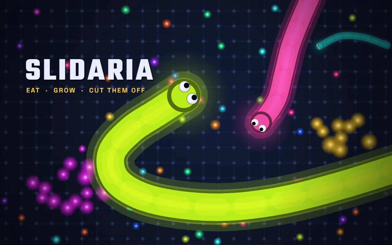 SLIDARIA cover art